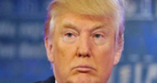 ওবামার চেয়ে অনেক বড় নেতা পুতিন : ট্রাম্প