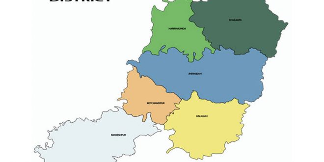 ঝিনাইদহে লক্ষ্মীমূর্তিসহ ধাতব মুদ্রা উদ্ধার