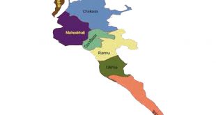 বিজিপি নাফ নদী থেকে ধরে নেওয়া ৪ জেলেকে ফেরত দিয়েছে