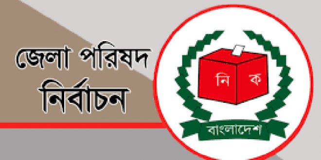 ভোটগ্রহণ শুরু হয়েছে মেহেরপুর জেলা পরিষদ নির্বাচনের