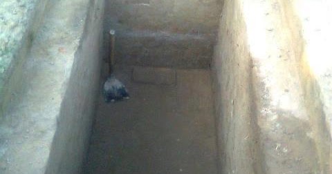 গোয়ালন্দে সরিয়ে নেওয়া হলো ২২বছরের পুরানো কবর