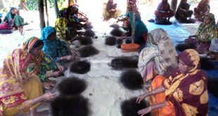 নওগাঁয় চুলের জট ছাড়িয়ে স্বাবলম্বী