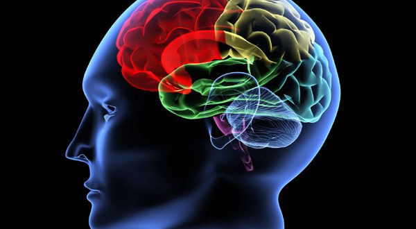 নিয়মিত ১০ কাজ করুন তুখোড় মস্তিষ্কের জন্য