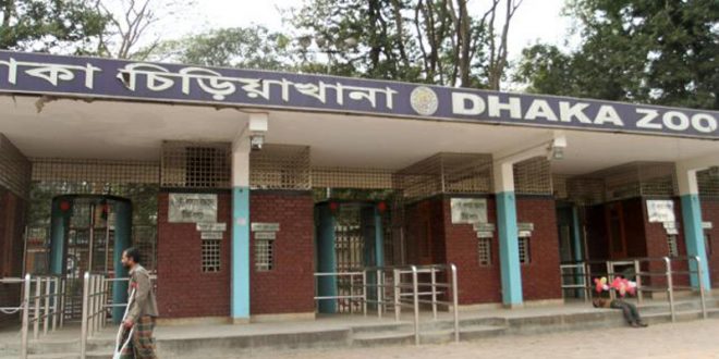 মিরপুর চিড়িয়াখানায় নারীর মুখে এসিড নিক্ষেপ