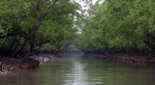 আত্মসমর্পণ করছে সুন্দরবনের দস্যু সাগর বাহিনী