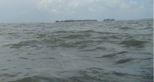 'দক্ষিণ-পশ্চিমাঞ্চলে জলাবদ্ধতার স্থায়ী সমাধানে গঙ্গা বাঁধ নির্মাণ করতে হবে'