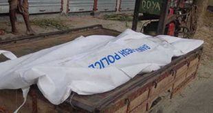 দিনাজপুরে নছিমন উল্টে চালক নিহত