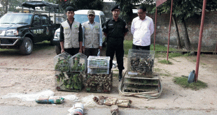 ফেনীতে প্রায় দেড় হাজার বন্যপাখি উদ্ধার, আটক ৩