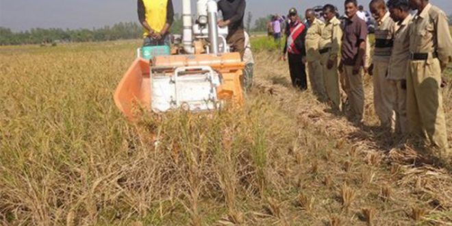 গাইবান্ধার সাঁওতালদের ১৫ দিনের মধ্যে বাকি ধান বুঝিয়ে দিতে হবে