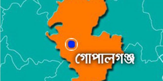 গোপালগঞ্জে বিষপানে অন্ত:স্বত্বা গৃহবধূর আত্মহত্যা