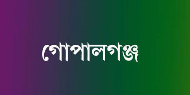 গোপালগঞ্জে ম্যাগাজিন ও গুলিসহ বিদেশি পিস্তল উদ্ধার