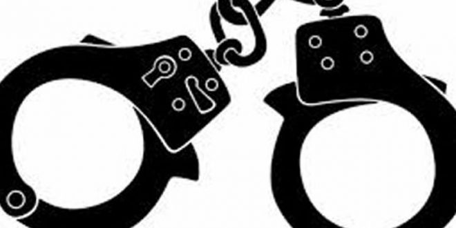 গোয়ালন্দে ইয়াবাসহ যুবক গ্রেপ্তার
