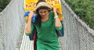 সেই নেপালি সবজিওয়ালির পরিচয় জানা গেল