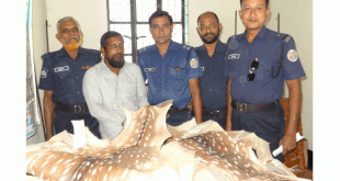 হরিণের পাঁচ চামড়াসহ পাথরঘাটায় আটক ১
