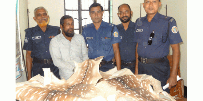 হরিণের পাঁচ চামড়াসহ পাথরঘাটায় আটক ১