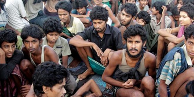 ৬ নৌকাবোঝাই রোহিঙ্গা ফেরত পাঠিয়েছে বিজিবি
