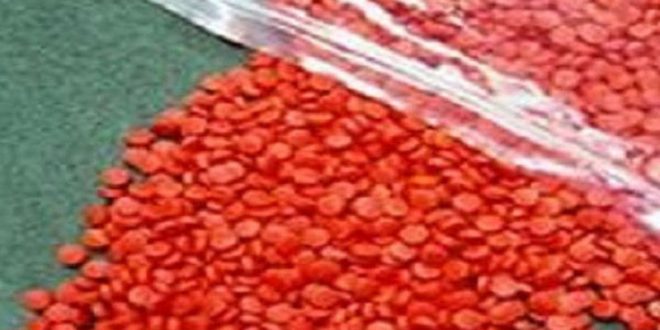 কক্সবাজারের টেকনাফে ৫০০০ ইয়াবাসহ আটক ১