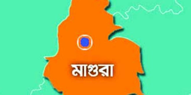 মাগুরায় আওয়ামী লীগের দু’গ্রুপের সংঘর্ষ, গুলিবিদ্ধ ৩